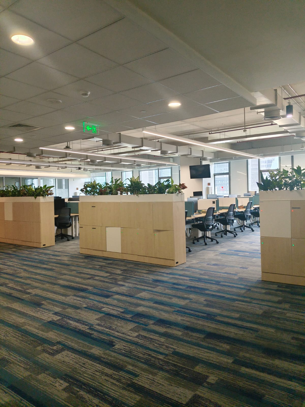 TCS office